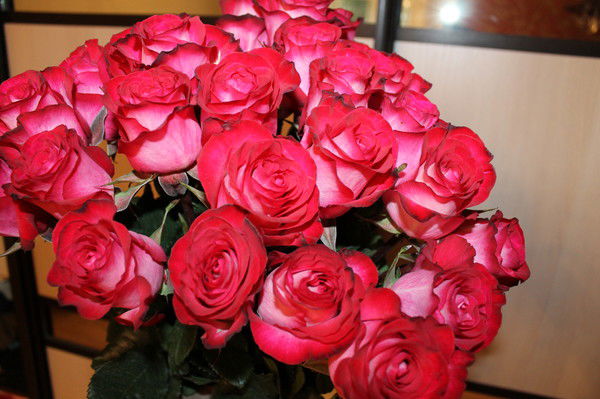 Ксения Обыденова