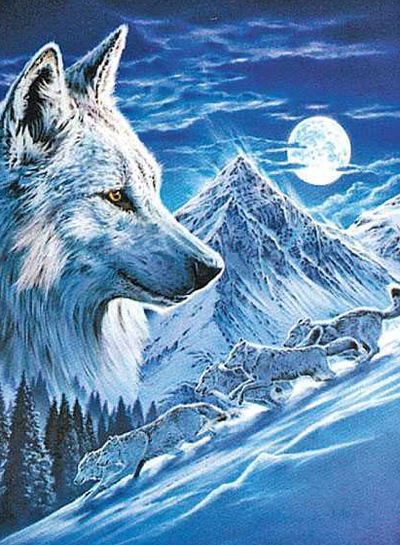 Андрей Щулепов