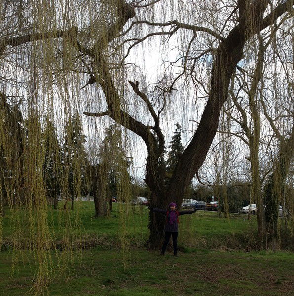 Карыбекова Карлыгаш