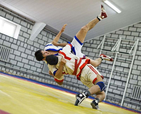 Вольник Вольник