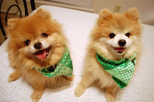 Галина Базлова