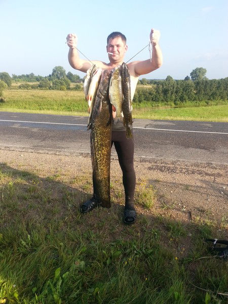 Евгений Мурачев