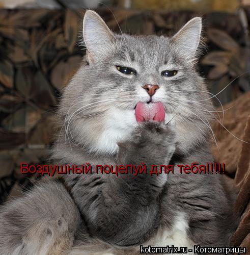 Мария Пилипчук