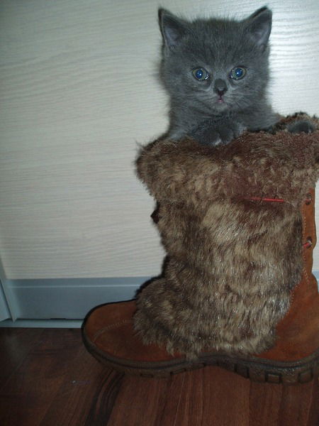 Татьяна Столярова