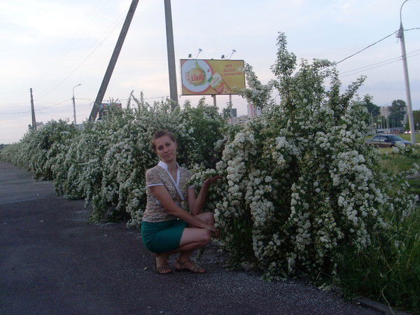 Светлана Голофаева