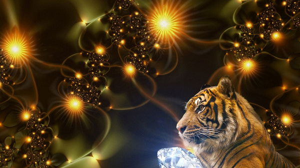 Айнура Мухитжановна