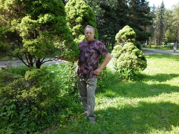 Александр Нечепуренко