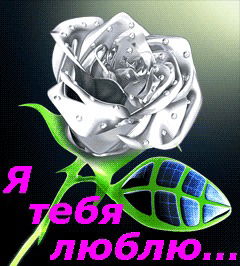 Javoxir:. (((Tadjimov)))