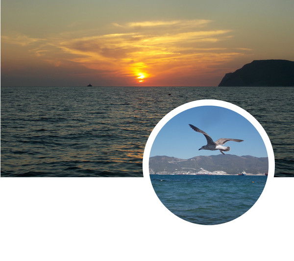 Лариса Паршина