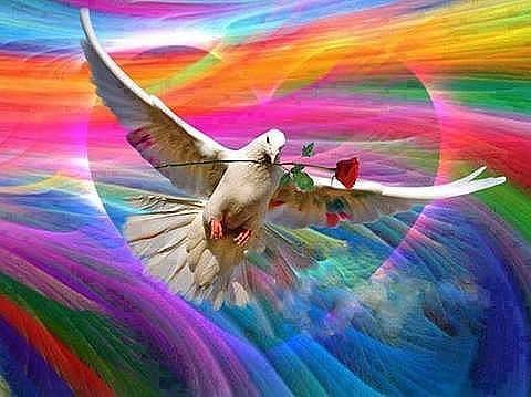 Алина Хандохина