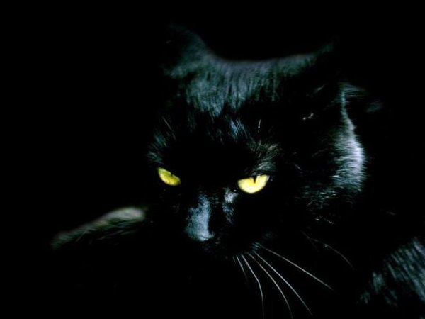 Радмир Хамматов