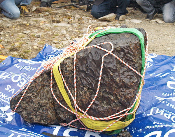 Анастасия Поморцева