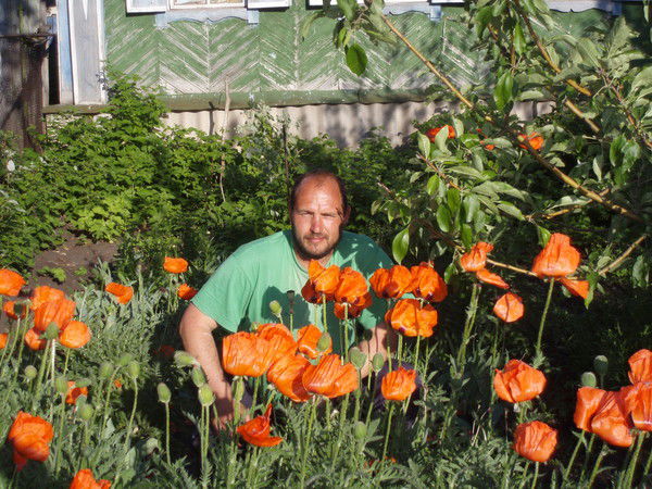 Александр Красников