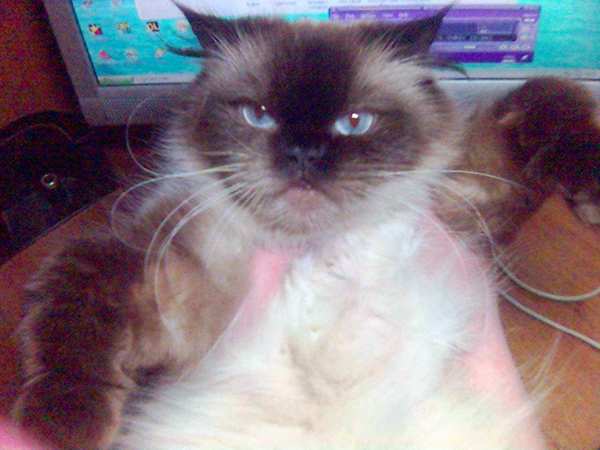 Александр Карпачев