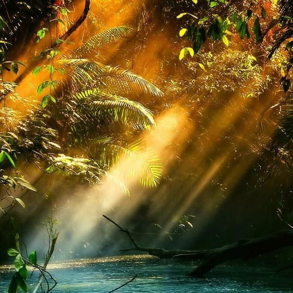 Алия Бекожаева