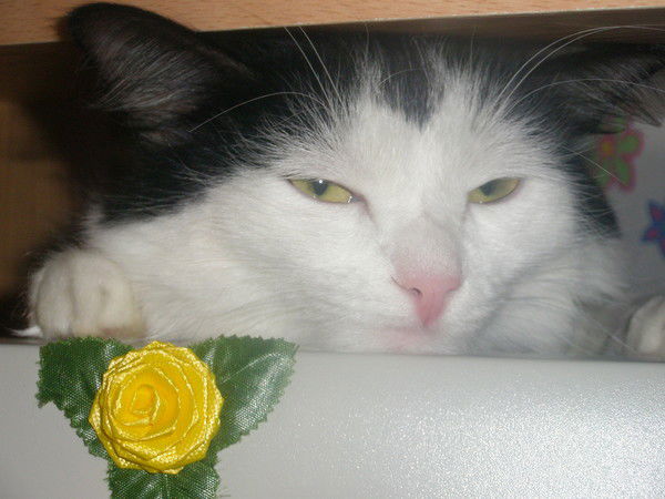 Ирина Кузнецова