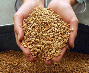 Хлебная База 2 Астык Коймалары