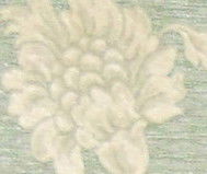 Наталья Ибрагимова