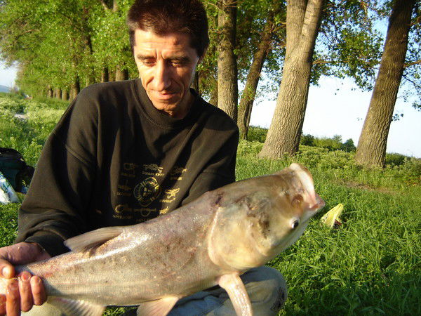 Александр Дозор