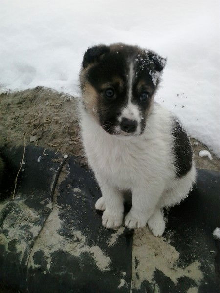 Гульдар Аюпова (Валитова)