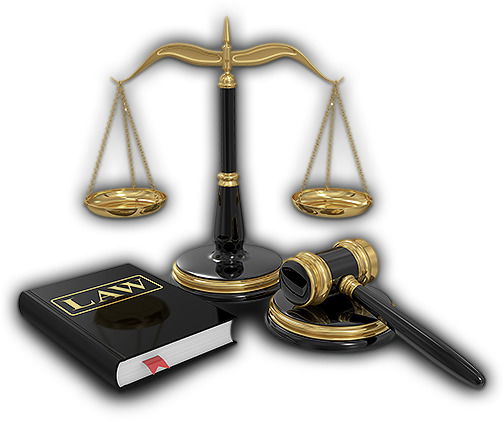 Элеонора Леонидовна Гапанюк