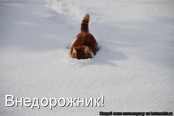 Внедорожник Lerych