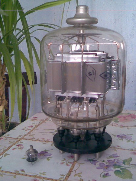 Алексей Москвитин