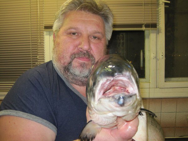 Владимир Клементьев