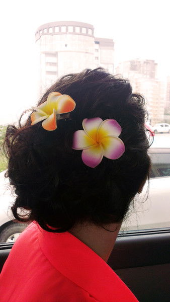 Анютка -\\-\\-\\