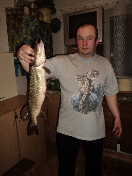 Владимир Маленок