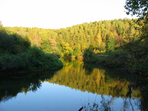 Дмитрий Стерхов