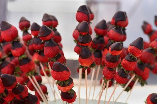 Анна Чарушина