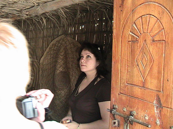 Елена Домашенкина