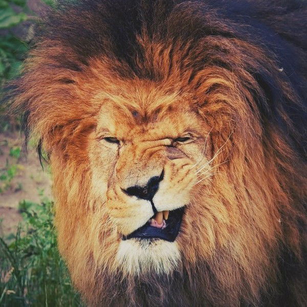 Нурид Оздарбиев