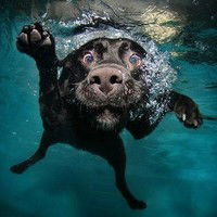 Никита Смирнов