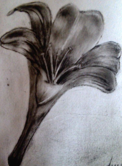 Лилия Шайхутдинова