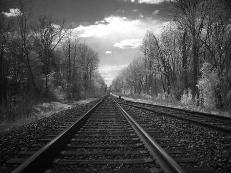 Ваня Елисеев