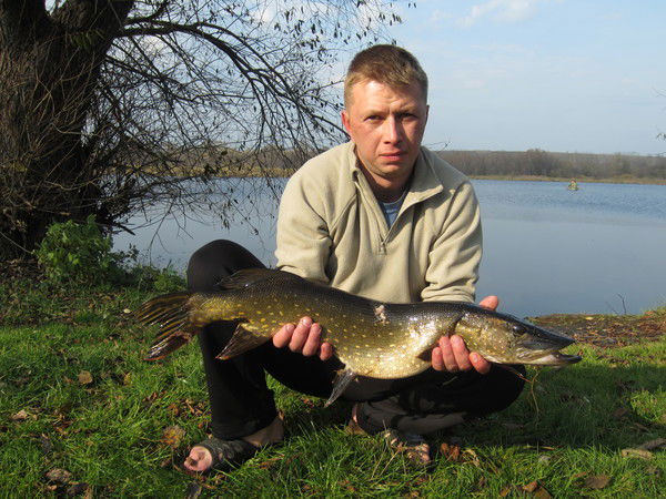 Денис Грабовский