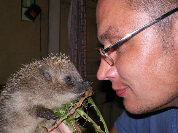 Александр Молод