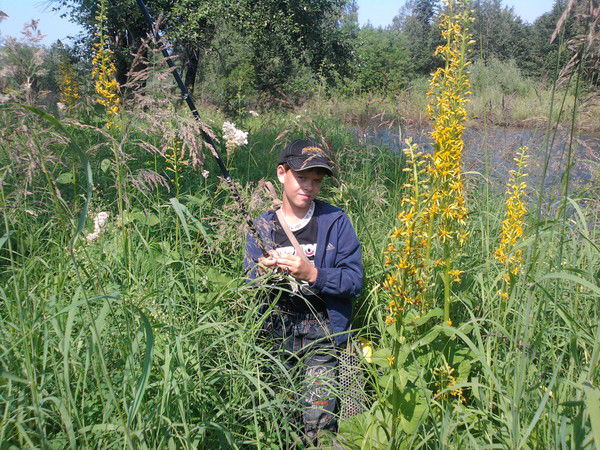 Максим Калнацкий