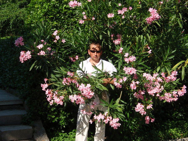 Сергій Грищенко