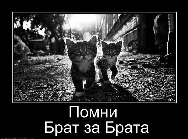 Андрей Двинянинов