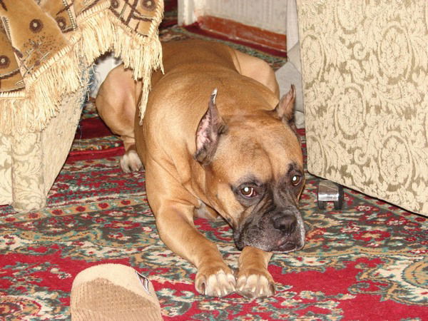 Евгения Дондукова