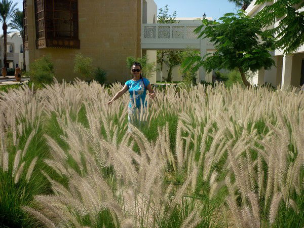 Ирина Моисеева