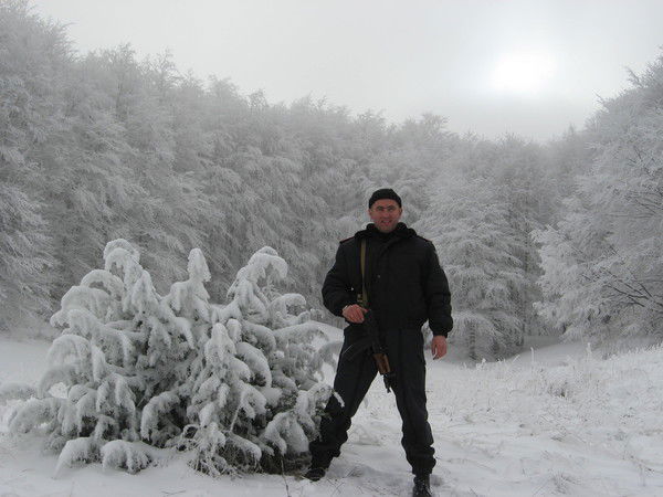 Вячеслав Семышев