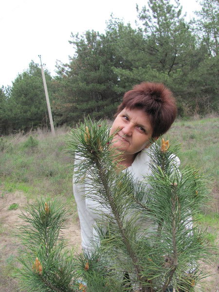 Татьяна Бородай