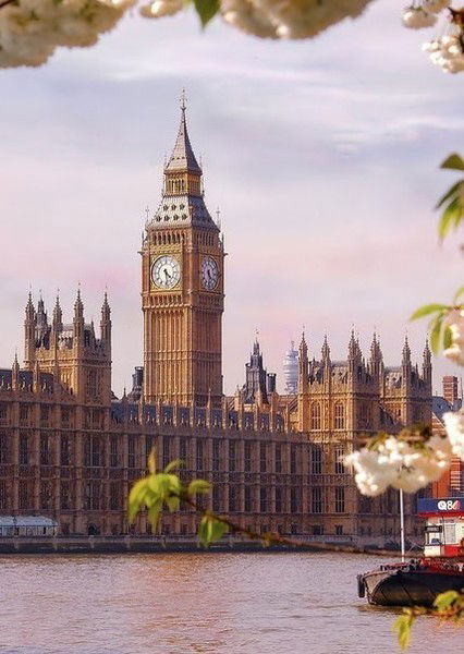 Алла Комаринець