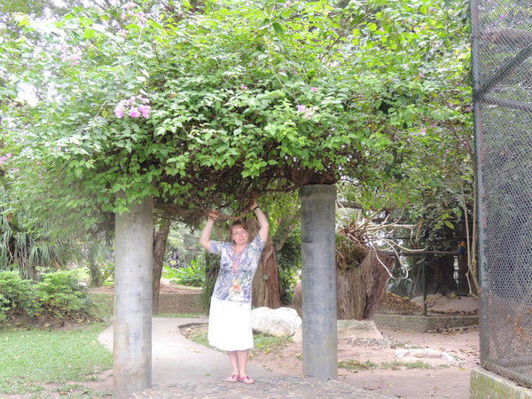 Ольга Полокайнен