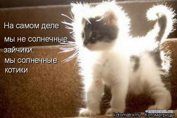 Эльмира Халимова