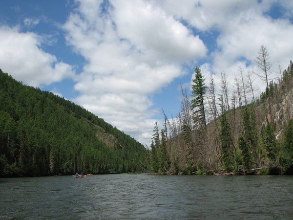 Андрей Широков